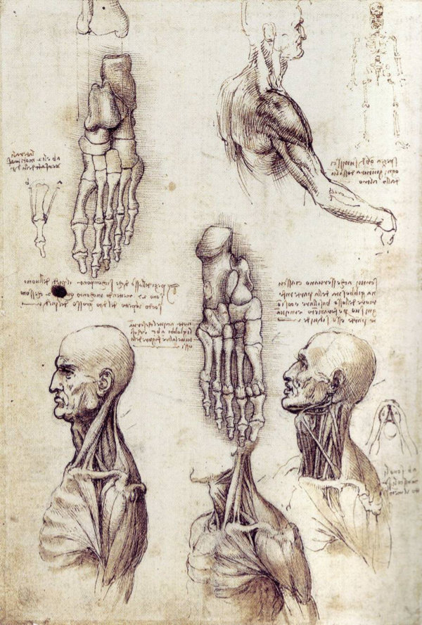 Leonardo da Vinci drawing